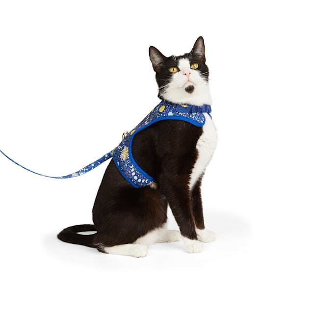 Petco cat leash best sale