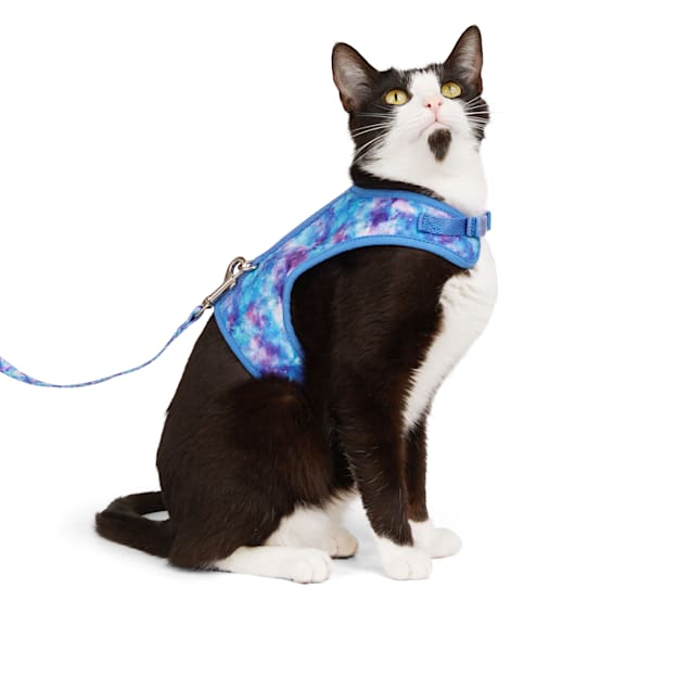 YOULY Blue Galaxy Cat Harness Lead Petco