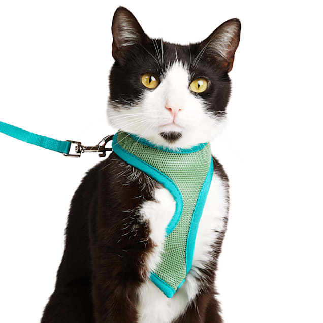 YOULY Green Cat Harness Lead Petco