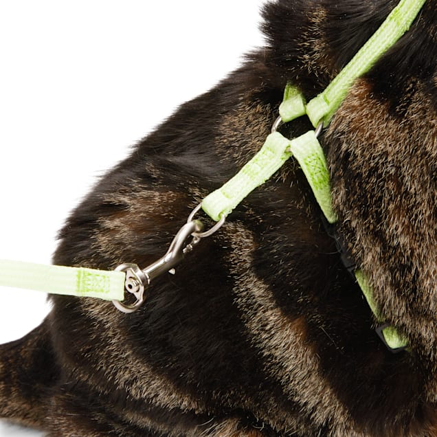 Dog Harnesses, Dog Collars, Cat Harnesses