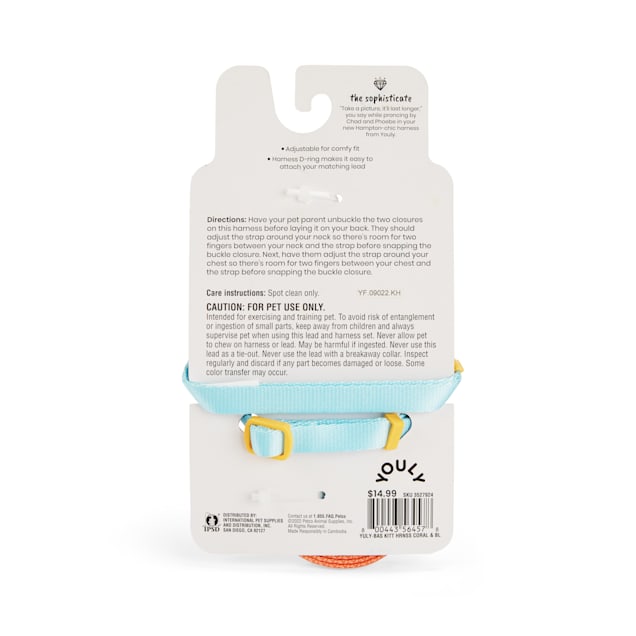 Kitten best sale pacifier petco