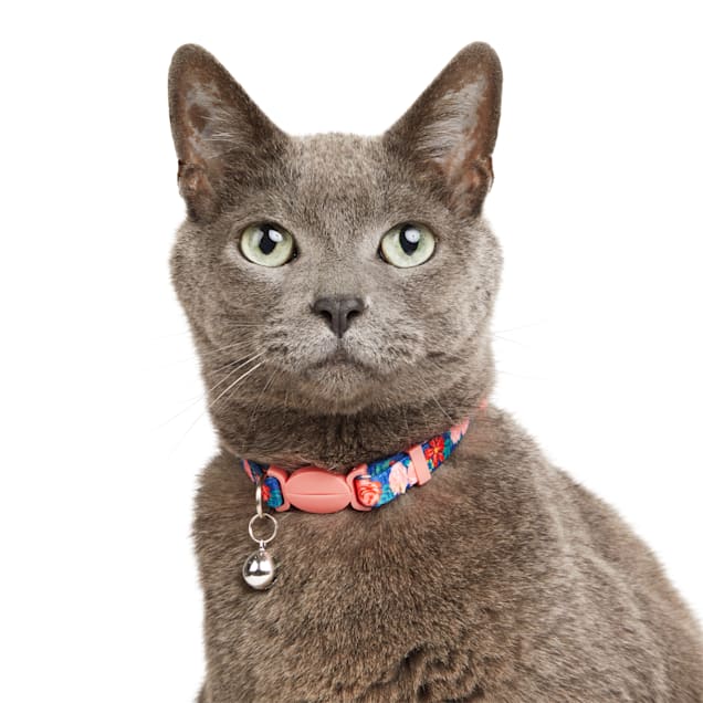 Cat neck band sale