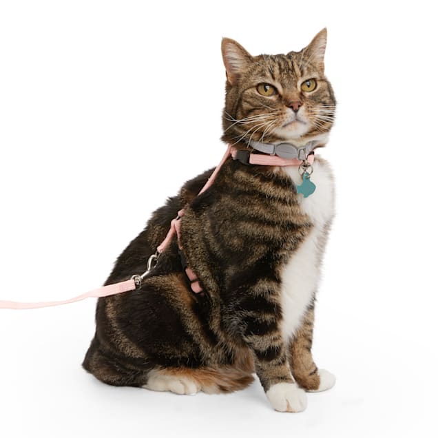 Pink cat cheap harness and leash