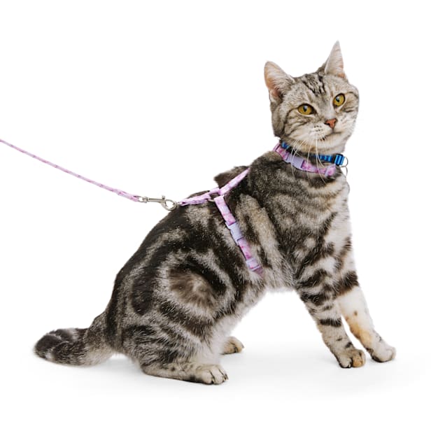 Kitten leashes shop