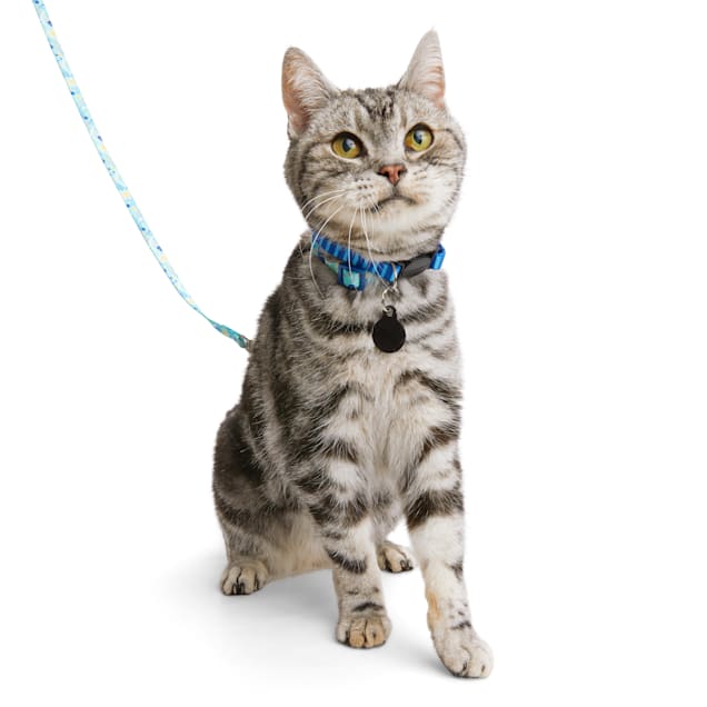 Petco cat harness store