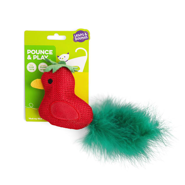 Cat toy clean online teeth
