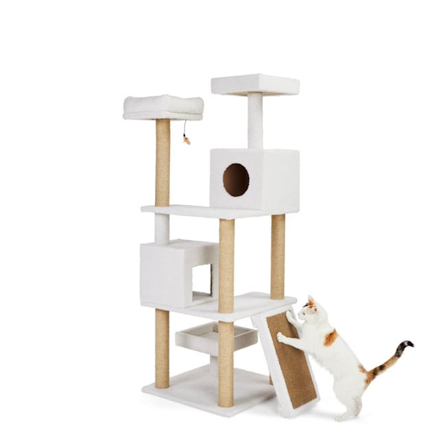 Petco whisker city top