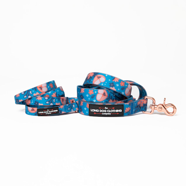 Long dog 2025 leash petco