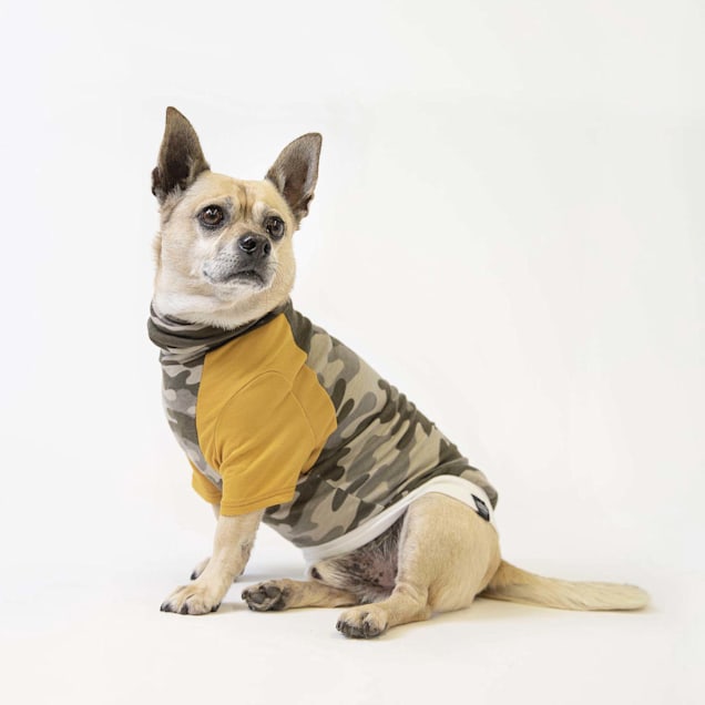 Dog baseball shop tee