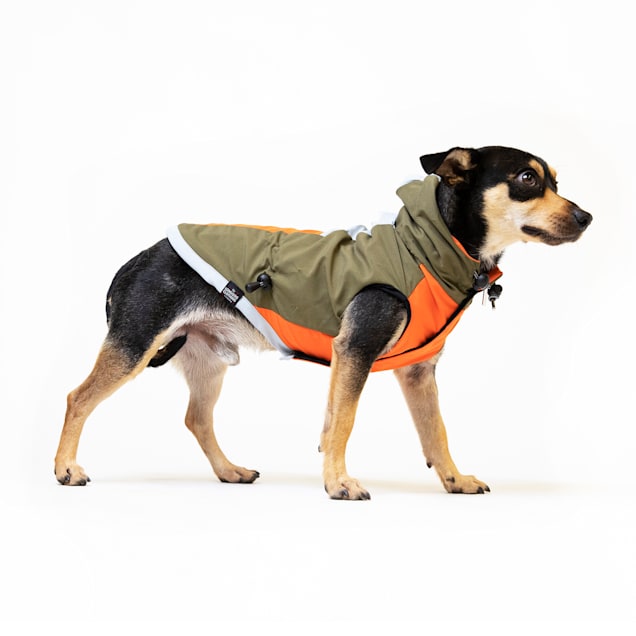 Long dog coat best sale