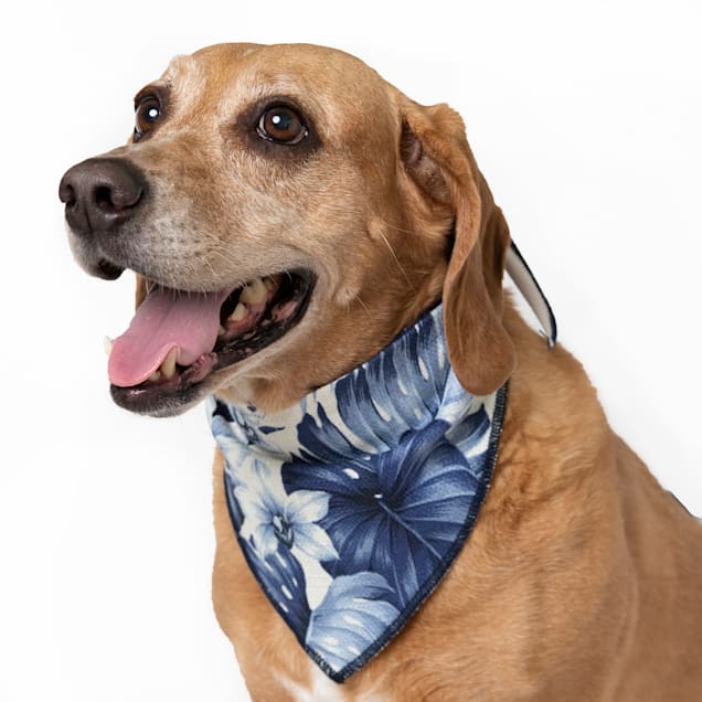 Dog neckwear sale