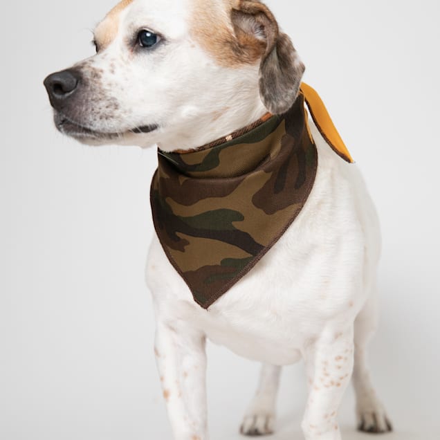 Camo bandana clearance for dogs