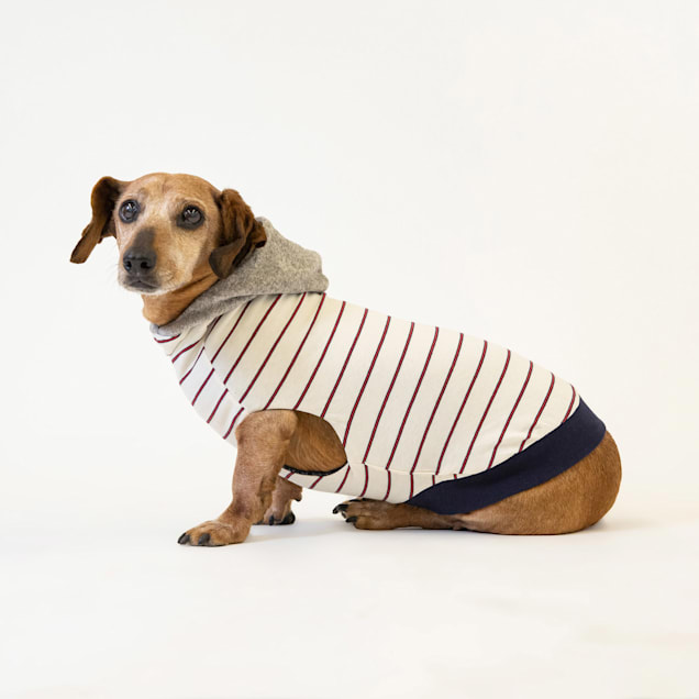 Long Dog Clothing Co. "The Abe" Reversible Navy Blue/Stripe Sweater Hoodie for Dogs, X-Small - Carousel image #1