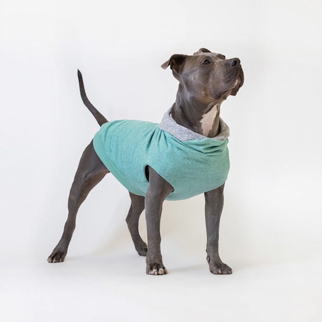 Long Dog Clothing Co. "The Sophie" Reversible Teal/Floral Sweater Hoodie for Dogs, X-Small - Carousel image #1