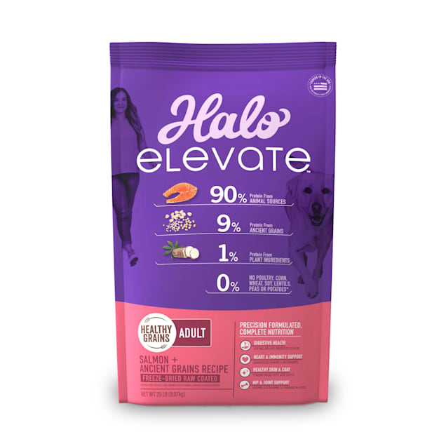 Halo Elevate Dog Healthy Grains Salmon Recipe Dry Food, 20 lbs. - Carousel image #1