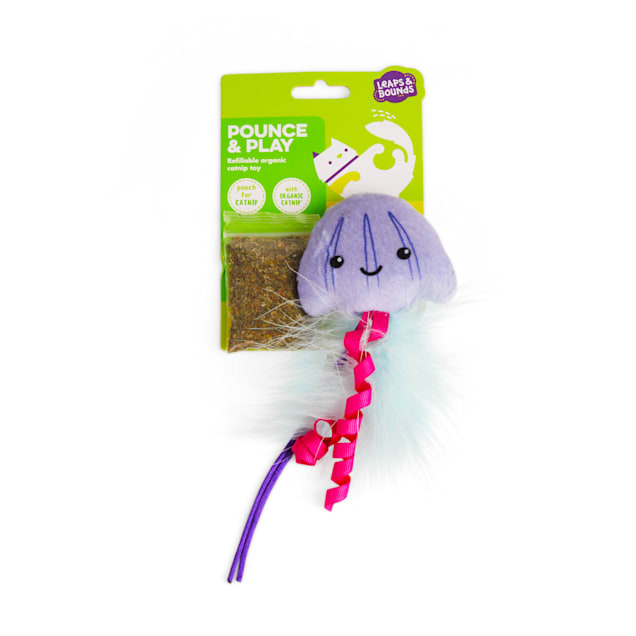 Petco jellyfish sales