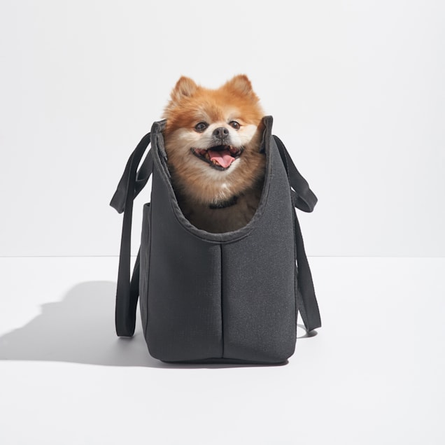 Wild one online dog carrier