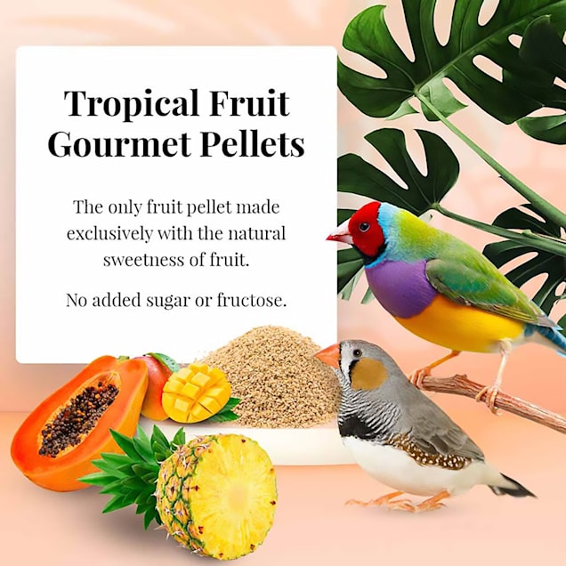Petco finches shop