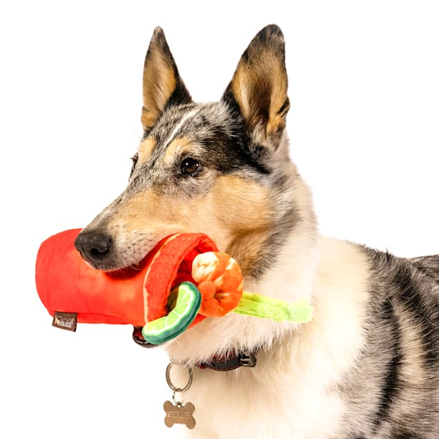 Buddy Mary Brunch Dog Toy, Medium Petco