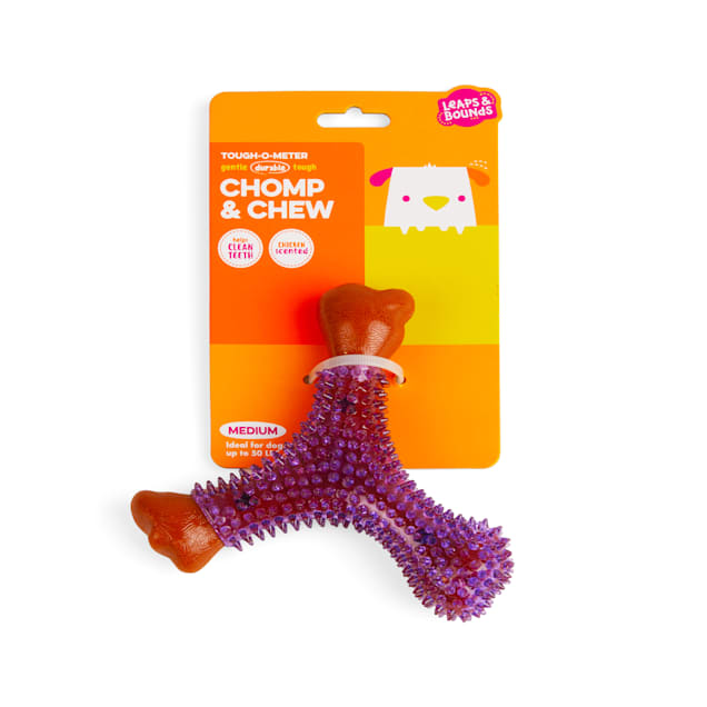 Leaps and bounds dog toys top