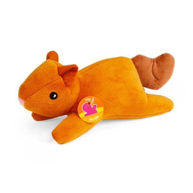 Bounds Blind Plush Squirrel Dog Toy Petco