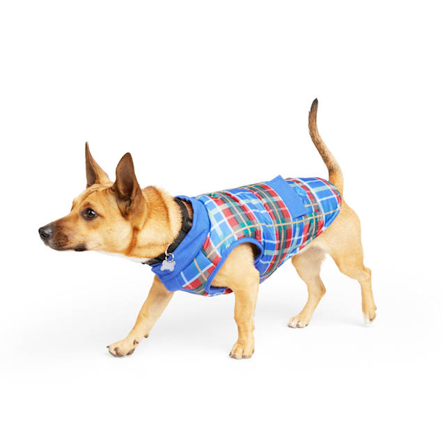 Weighted dog vest petco store