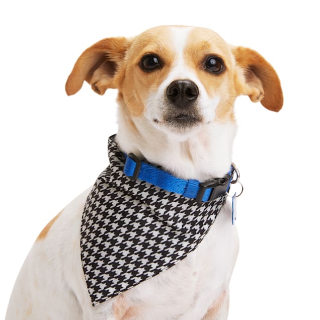 Black clearance dog bandana