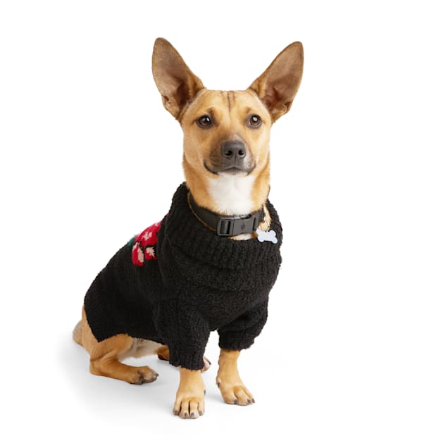 Petco small cheap dog sweaters