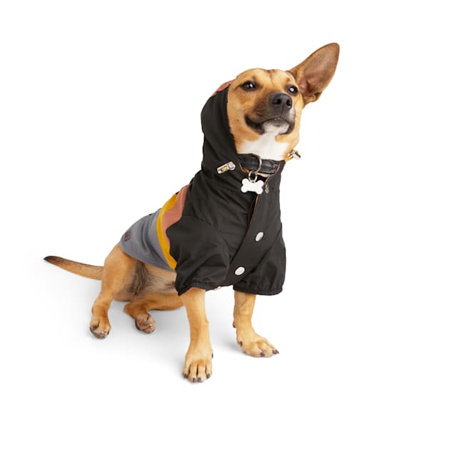 Reddy Black Windbreaker Dog Jacket X Small Petco