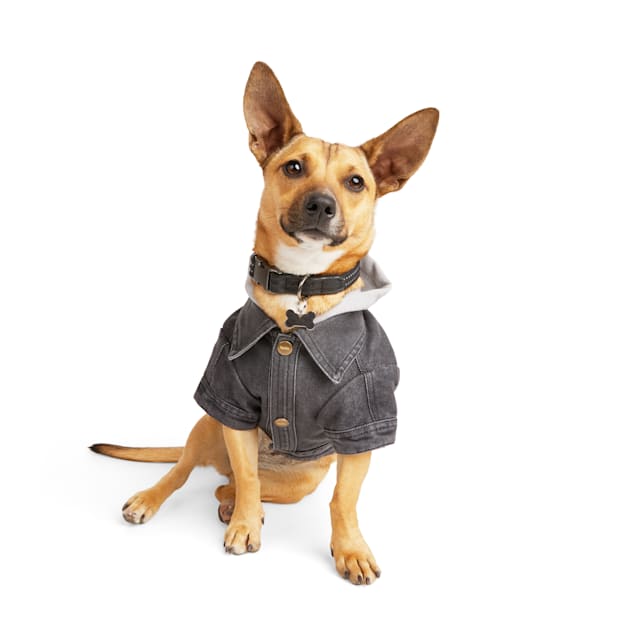 Reddy Denim Dog Jacket NWT Size Medium basl.lk