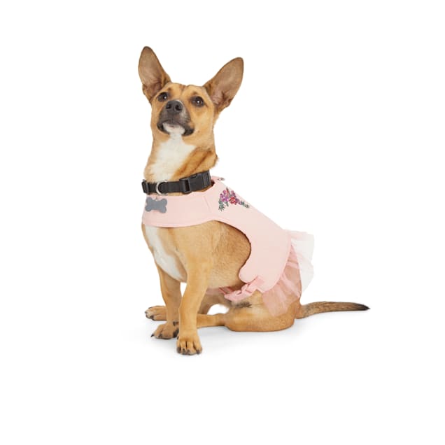 Bond & co new arrivals small dog harness