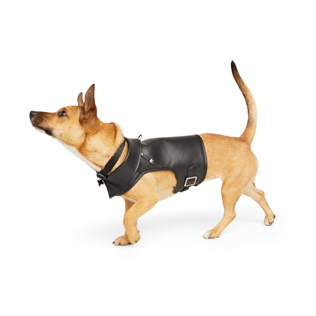 YOULY Black Biker Dog Harness XX Small Petco