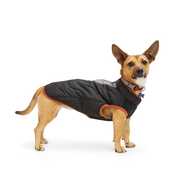 Reddy Black Primaloft Dog Jacket, X-Small