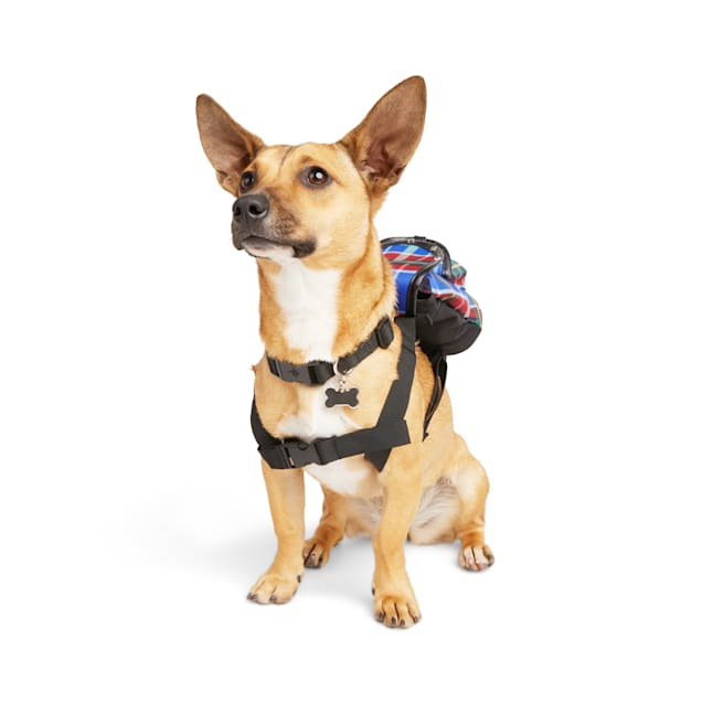 Petco dog backpack deals