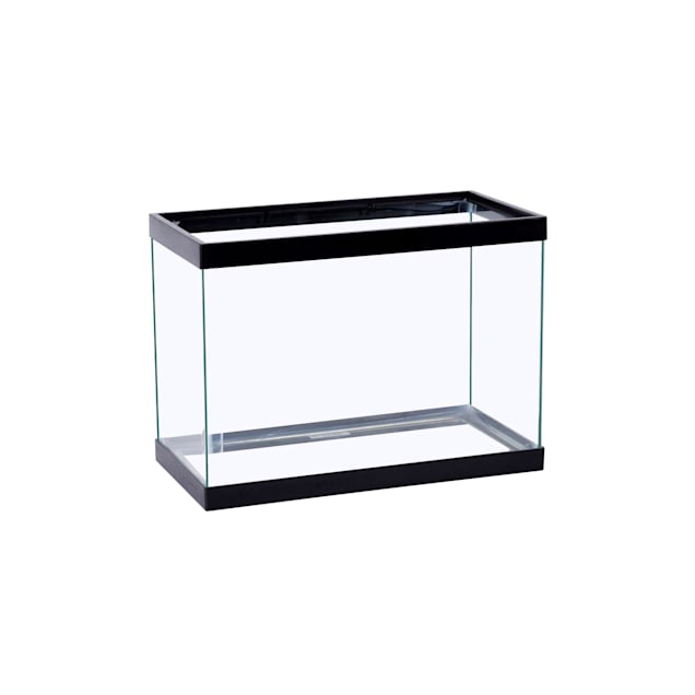 Petco 5 gallon aquarium best sale