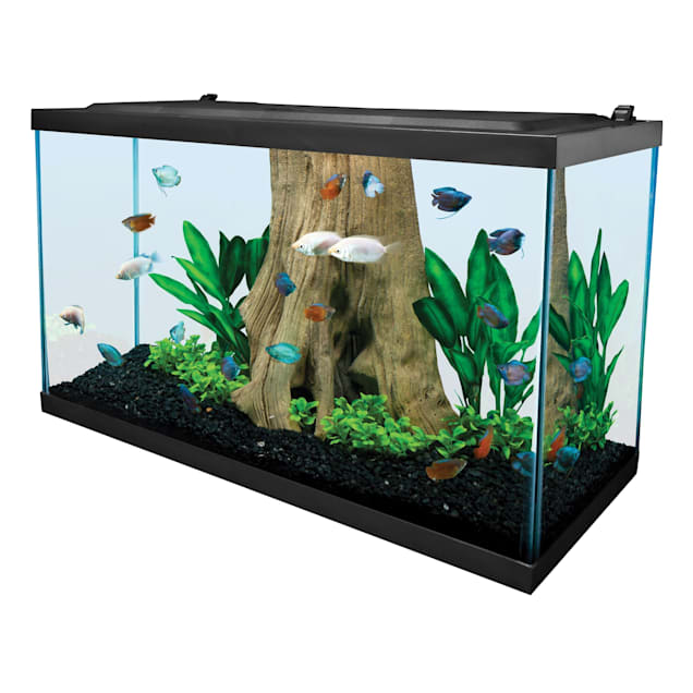 Tetra Glass 29 Gallon Rectangular Shippable Open Stock Fish Aquarium ...