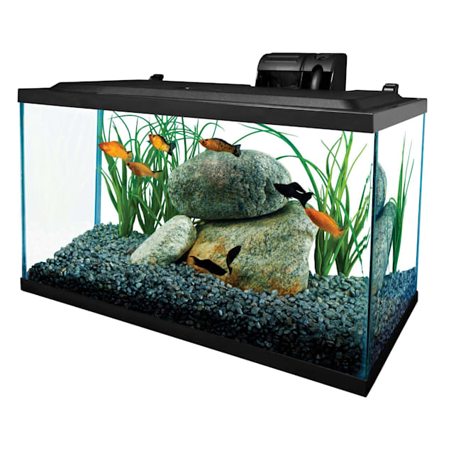 Tetra Open Glass 10 Gallon Rectangular Fish Aquarium Tank | Petco