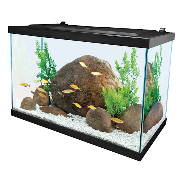 Tetra Open Glass 20 Gallon Rectangular Fish Aquarium Tank | Petco