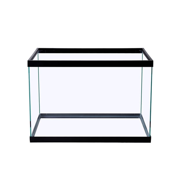 20 gallon tank hot sale