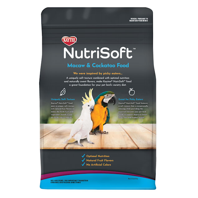 Petco macaw cheap