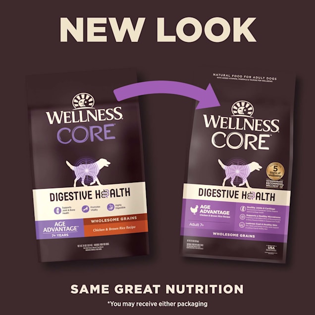 Dog food for sensitive stomach senior on sale