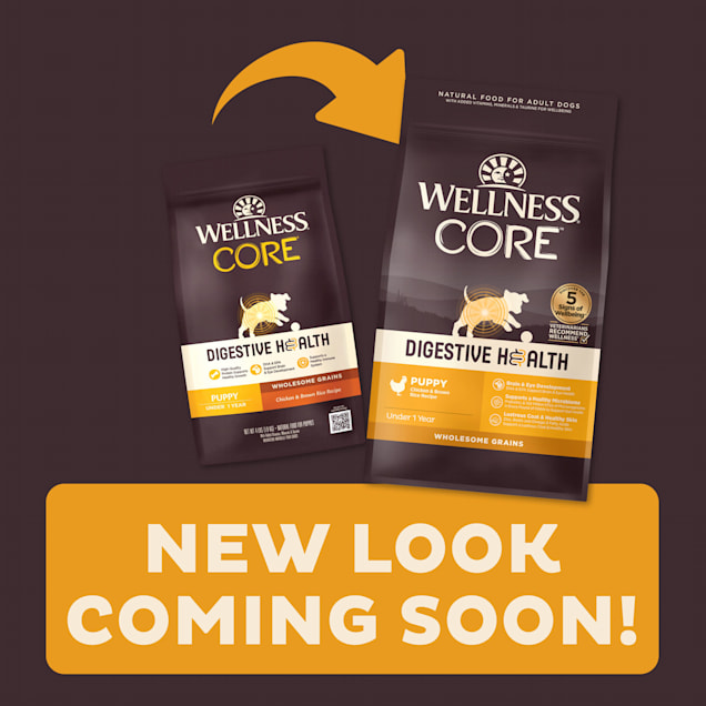 Wellness puppy online food large breed