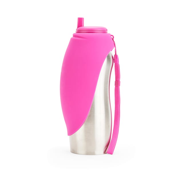 Petco dog deals water dispenser