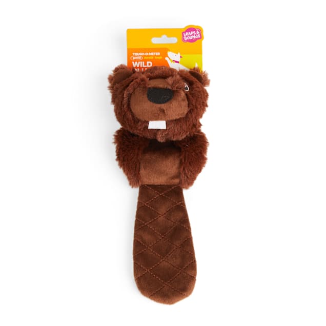 Tough teddy bear for dogs hot sale