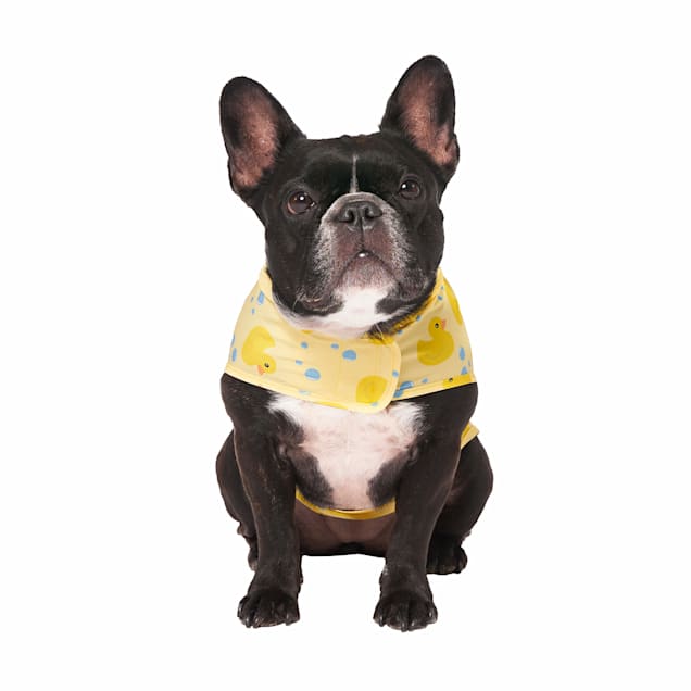 Canada Pooch Yellow Duck Rain Poncho for Dogs 3XSmall