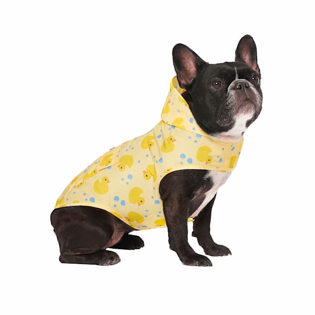Canada pooch yellow raincoat store
