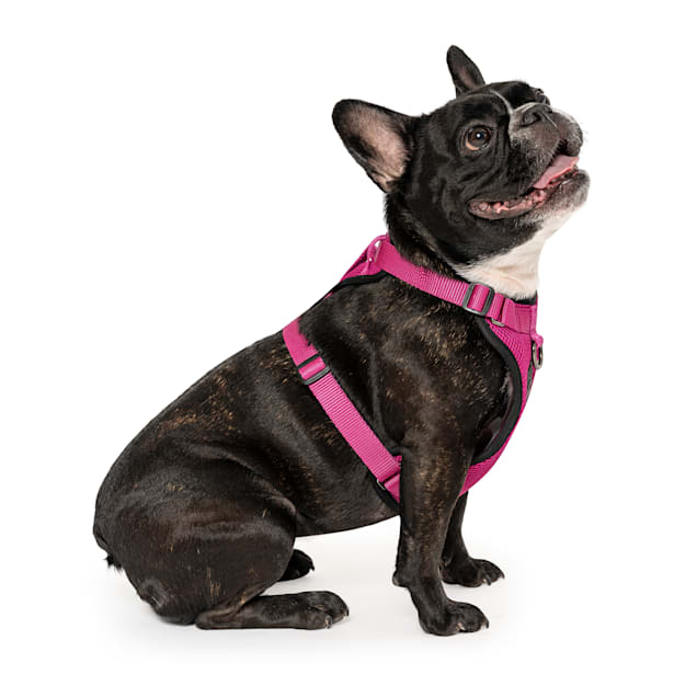 Canada pooch everything harness review sale