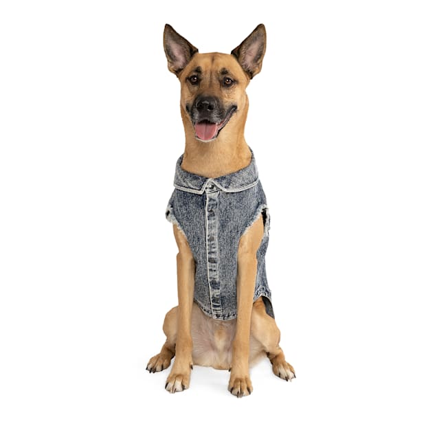 Dog anxiety vest petco hot sale