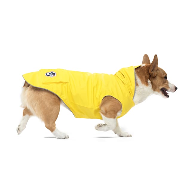 Pooch play tracker cheap