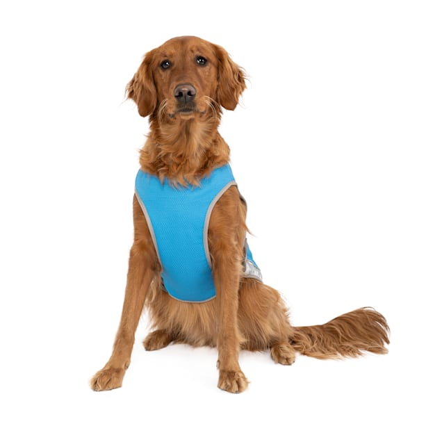 Size 16 Canada Pooch Chill Seeker Dog Cooling Vest Water Evaporative and Adjustable Aqua 15-17 Back Length 